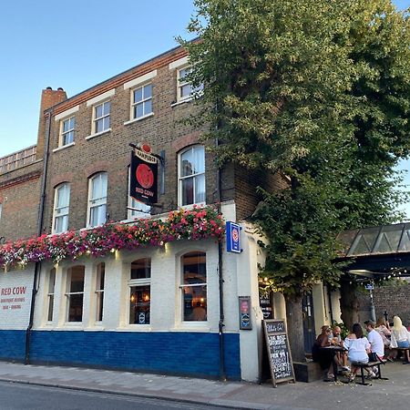 The Red Cow - Guest House Richmond  Exterior photo